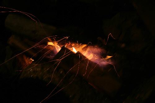 La foc