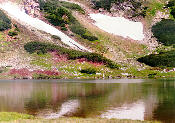 Lacul Lala