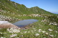 lacul taberei