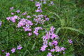img0023m