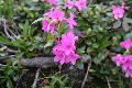 img0024m