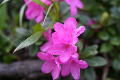 img0025m