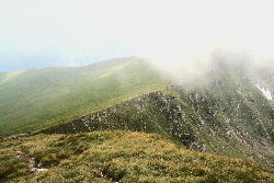 i204