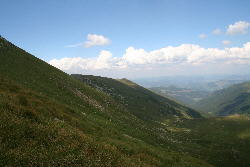 i233
