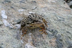 i342